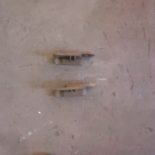 Колосник крайний