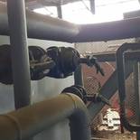 Модульная котельная МКУ-6,0 на основе 2 котлов КВм-3,0 на древесных отходах со шнековой подачей