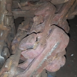 Транспортёр ТС